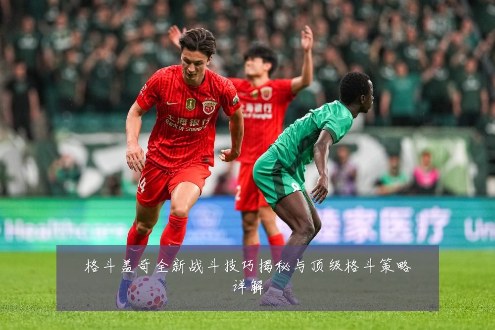 格斗盖奇全新战斗技巧揭秘与顶级格斗策略详解